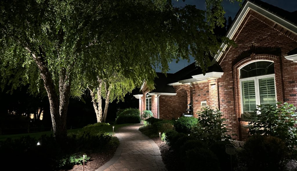 professional landscape lighting installation Waterloo NE pathway and accent fixtures