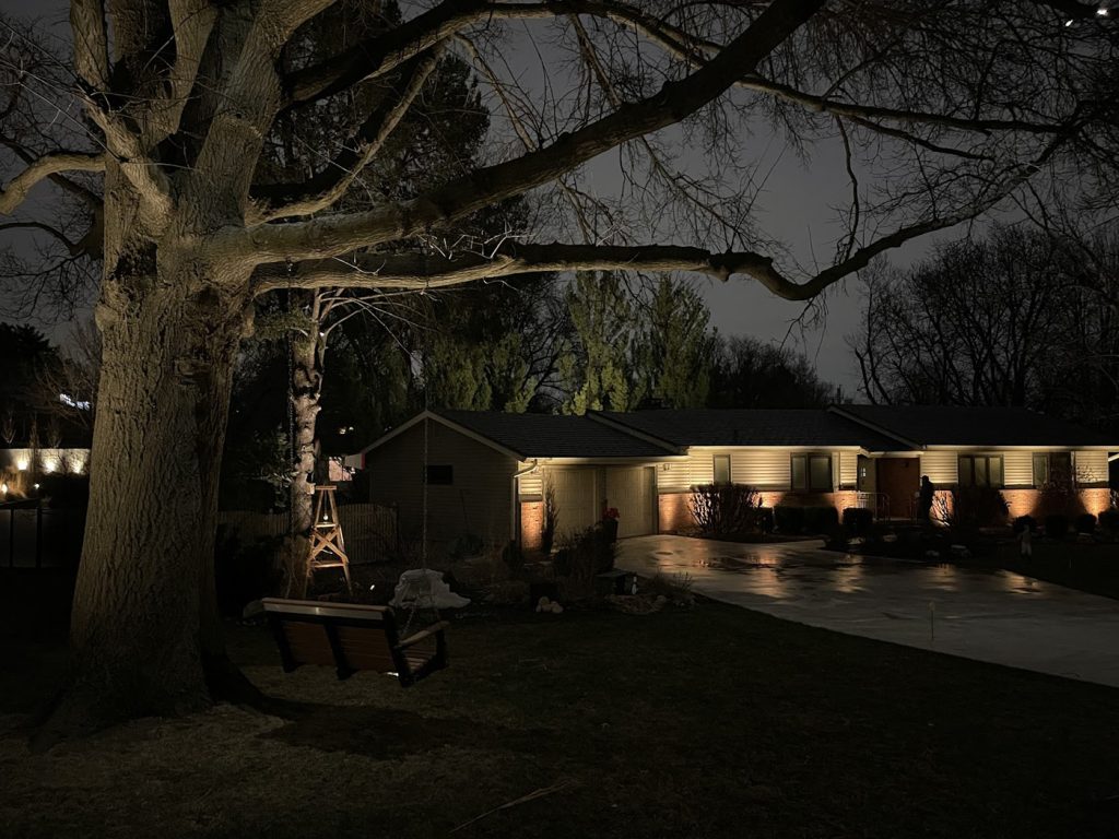 Single-story ranch home features a long horizontal profile highlighted by warm brick uplighting and a large, mature tree with a hanging swing. Focused spotlights accentuate the tree's thick trunk and expansive branches.