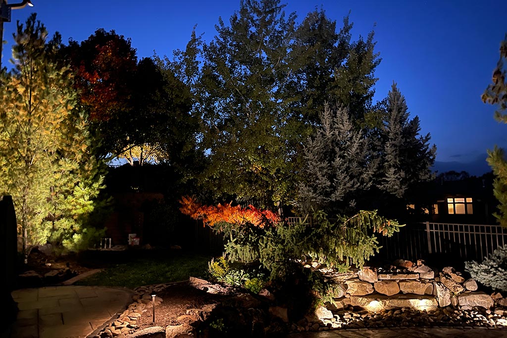 Evergreen and deciduous trees are illuminated by uplighting to create a lush, layered backdrop behind a stone waterfall. Warm accent lights nestled in the rocks highlight the water's flow, while a single path light marks the edge of the adjacent patio.