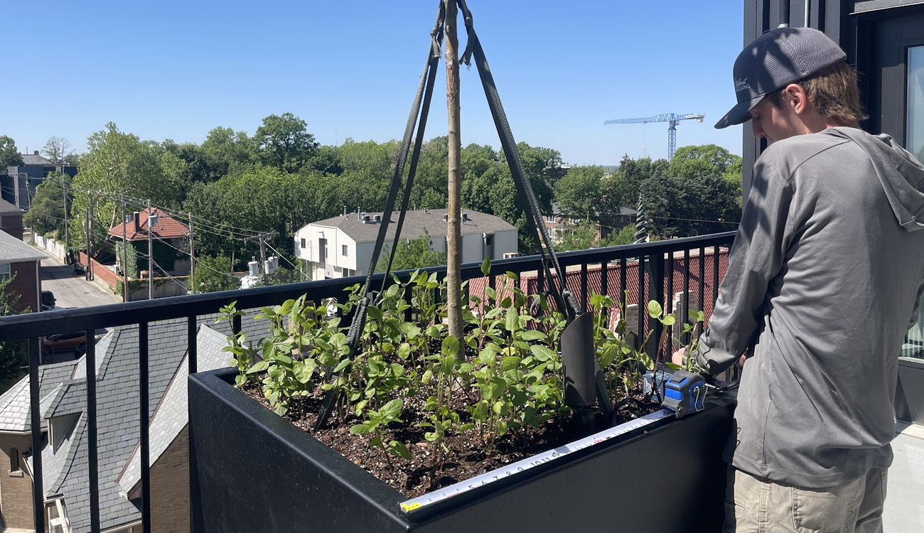 Person tending to balcony garden plants.