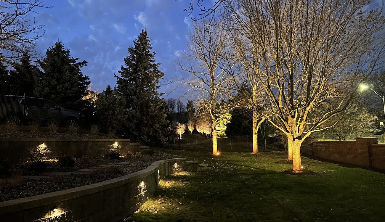 Serene garden illuminated by soft lights