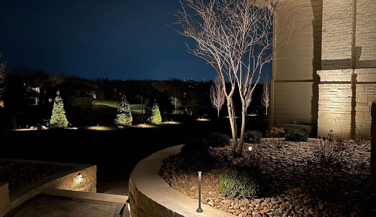 Illuminated landscape with trees at night