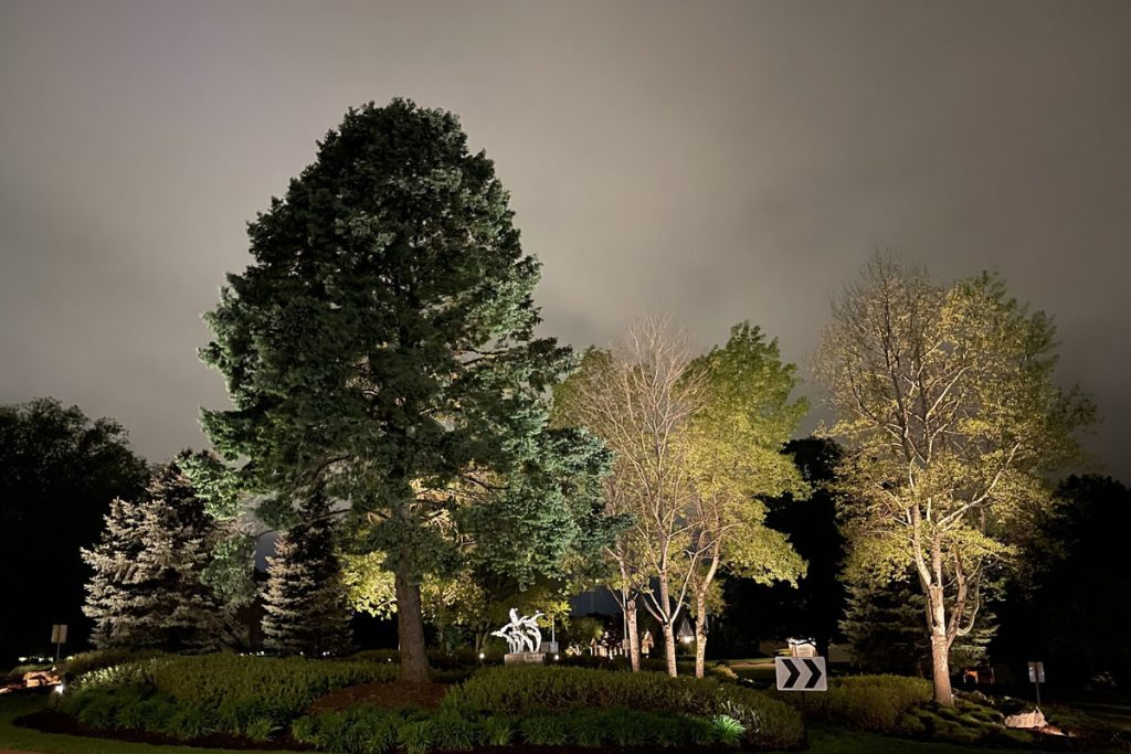 Trees and landscaping illuminated at night by a professional landscape lighting contractor using uplights for a balanced outdoor design.