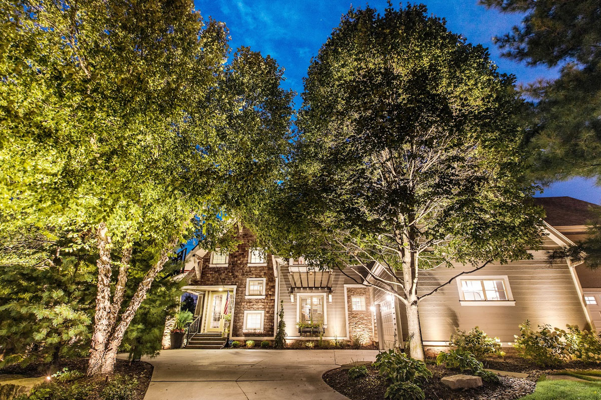 A well-lit home and tall trees glow at night, showing how Outdoor Lighting Codes guide proper fixture placement for safe, balanced illumination.
