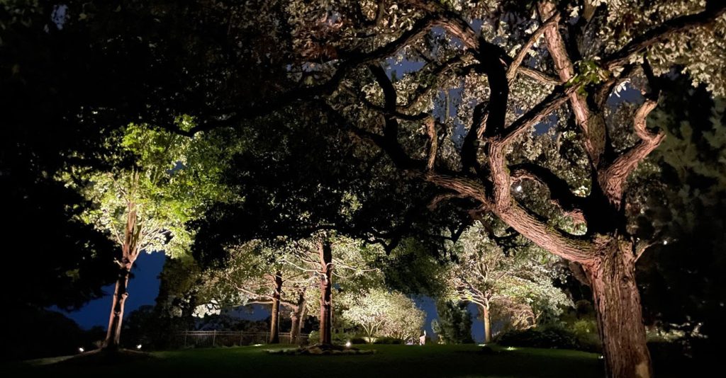 Warm lighting accents a multi-story stone home and large trees, creating a regal atmosphere.