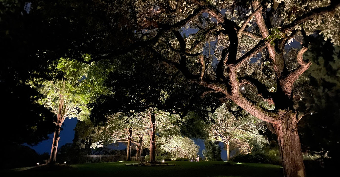 Warm lighting accents a multi-story stone home and large trees, creating a regal atmosphere.