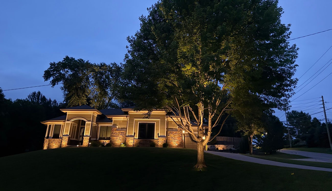 Strategic uplighting illuminates a winding garden path and dense trees, creating a peaceful, private atmosphere.