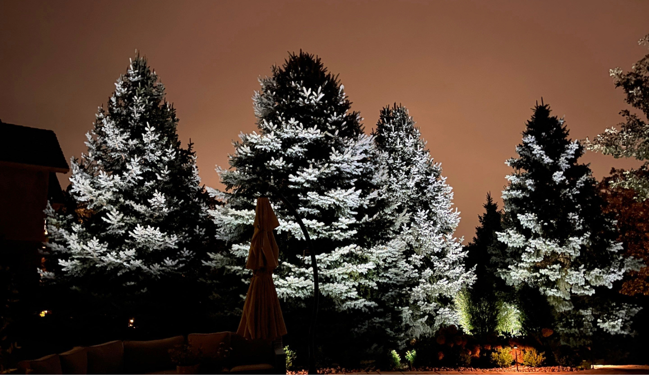 Professional exterior lighting installation highlighting a house at night