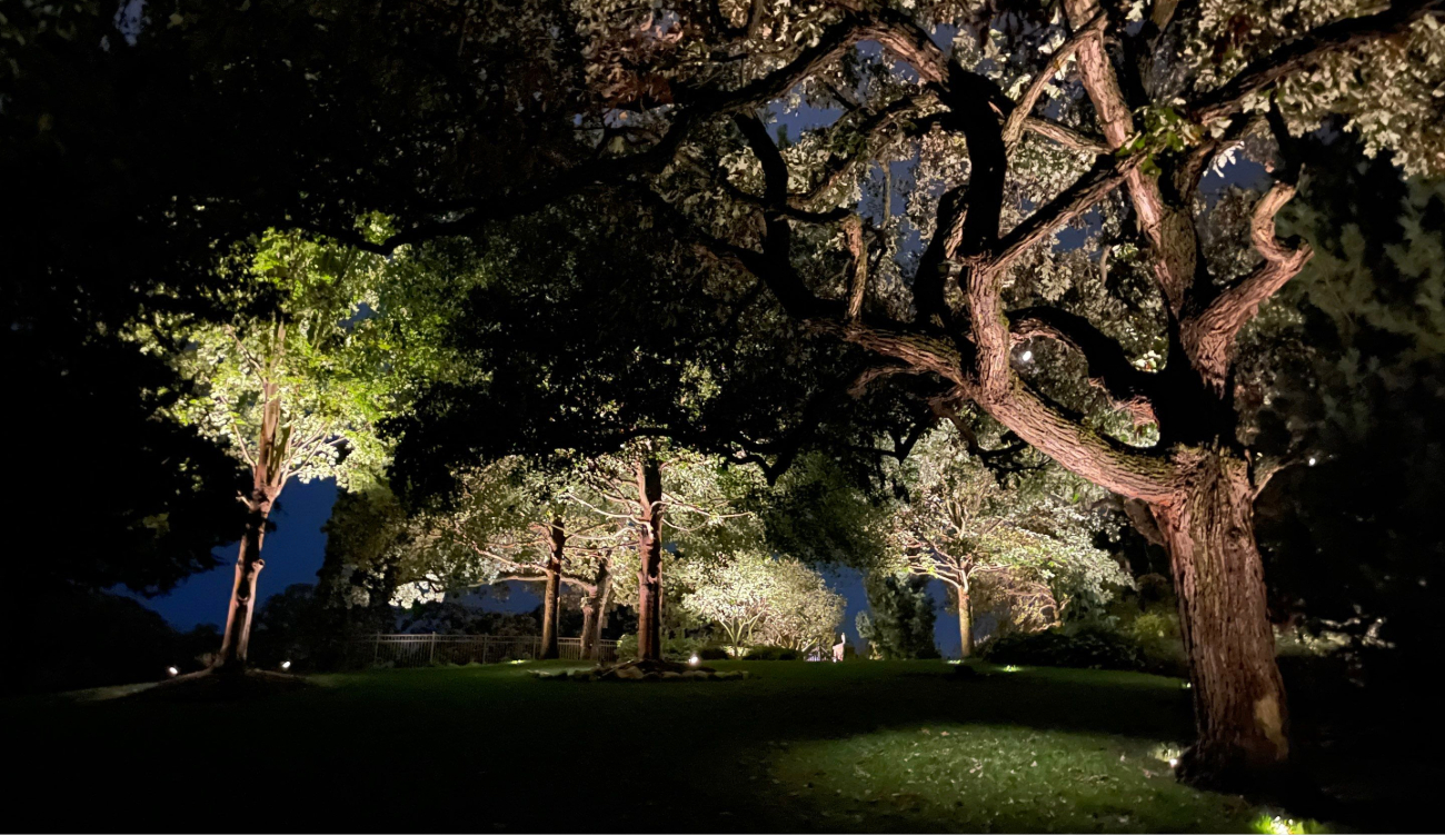 Exterior lighting installation in progress at a residential home