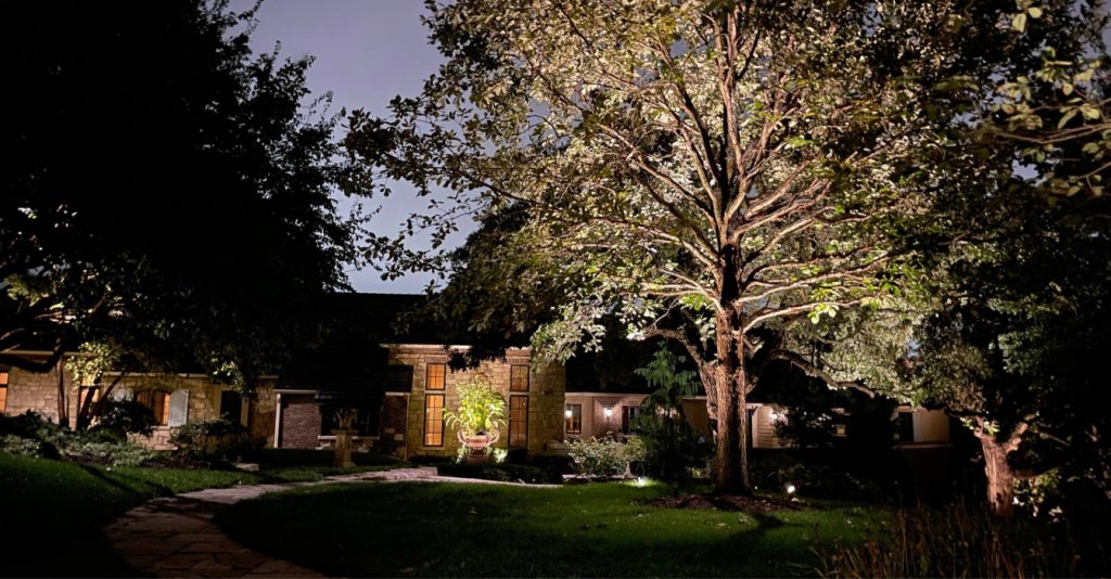 Low voltage landscape lighting highlighting walkways and trees