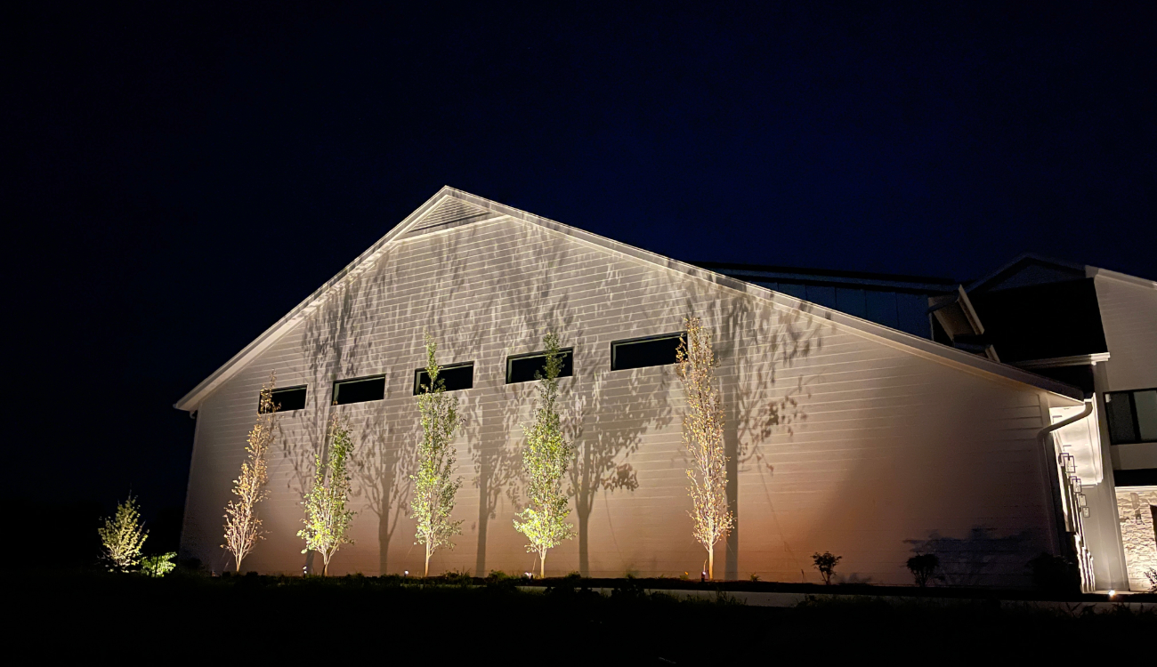 Unique shadows cast on a house exterior from hidden outdoor light fixtures placed in trees.