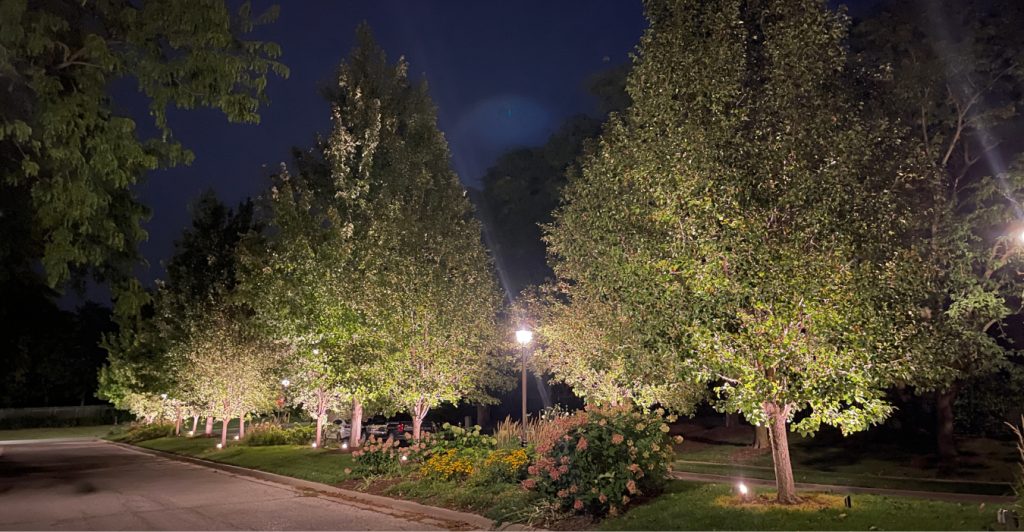 waterloo landscape lighting LED uplights illuminating front yard of Nebraska home at night