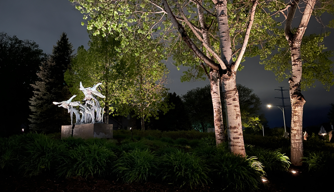 A metal bird sculpture and nearby birch trees highlighted by ground uplighting, showing professional landscape lighting services.