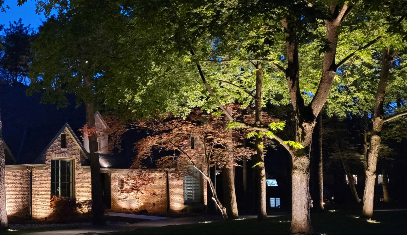 Dundee Omaha landscape lighting mature trees downlighting craftsman home exterior