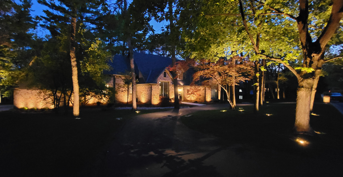 A wooded driveway with illuminated trees and a lit home facade, demonstrating the work of an outdoor lighting contractor.