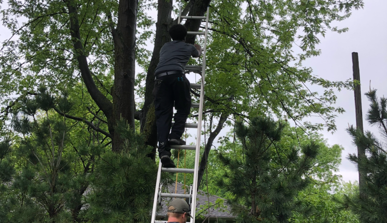 outdoor lighting maintenance omaha checklist lens cleaning path light Nebraska home